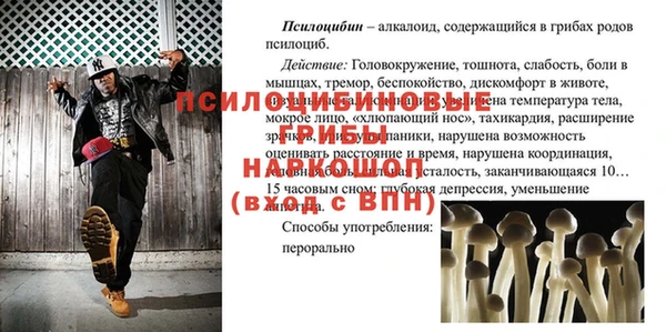 a pvp Михайловка