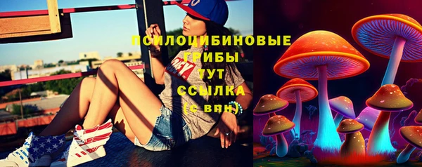 прущие грибы Одинцово