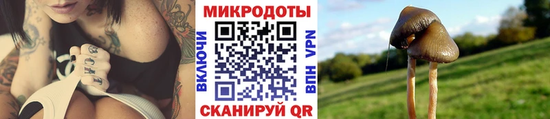 Галлюциногенные грибы прущие грибы  что такое наркотик  Красногорск 